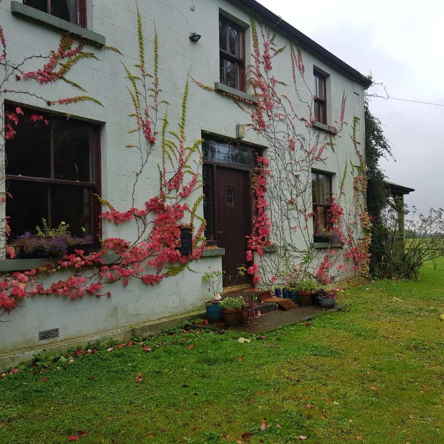 Villa Oldfarm à Nenagh Extérieur photo