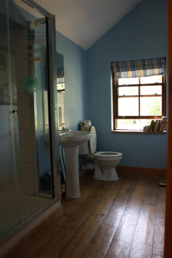 Villa Oldfarm à Nenagh Extérieur photo